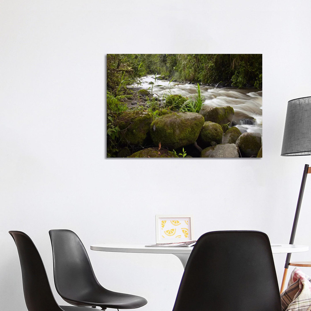 Mindo River Flowing Through Cloud Forest, Ecuador von Tim Fitzharris - Gallery-Wrapped Canvas Giclée on Canvas