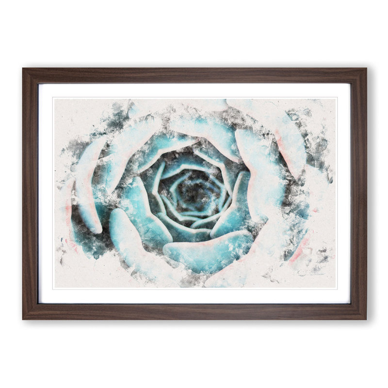 Pink & Green Succulent Plant - Picture Frame Painting Print, 45cm H x 63cm W x 2cm D, Walnut Framed