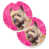 Cairn terrier
