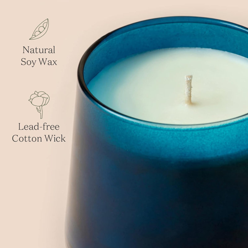 Eucalyptus & Fig Scented Jar Candle