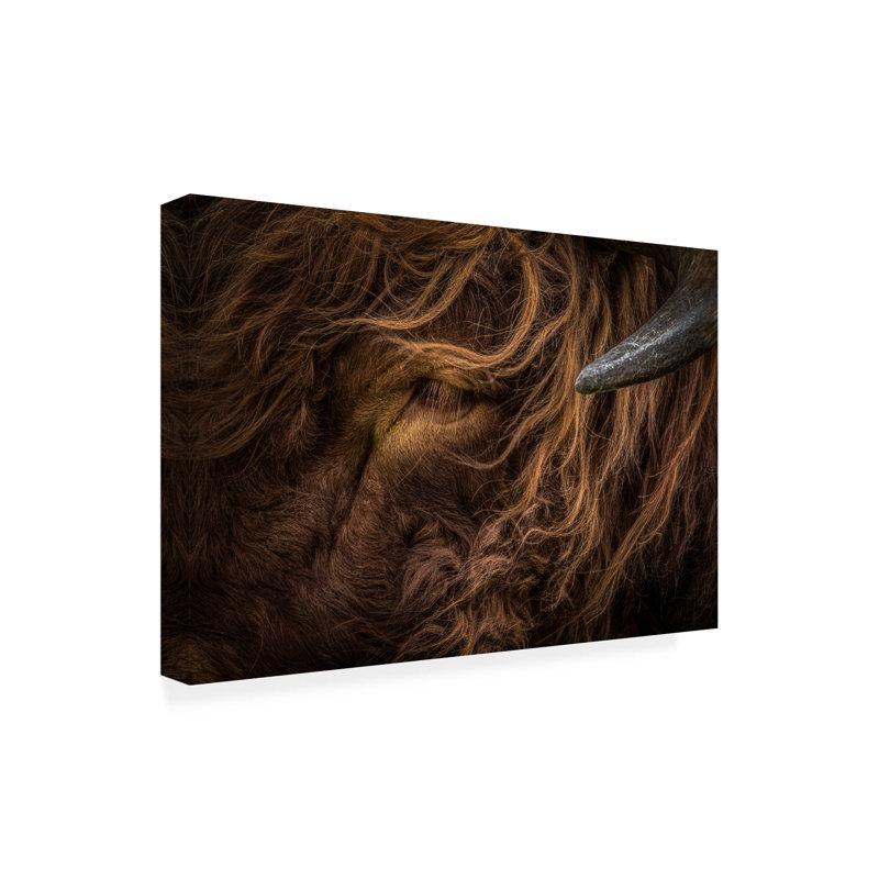 «Linda Wride Redhead», art sur toile, H 16 po x l 24 po