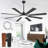 48''/52''/72'' Modern Ceiling Fan with Light, 3CCT LED, Remote Control, 6-Speed Reversible DC Motor, Double-Sided Black/Walnut Blades, Timer, Indoor & Covered Outdoor-1875890618