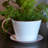 Byntlee Tea Cup Planter