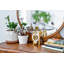 Horloge de table