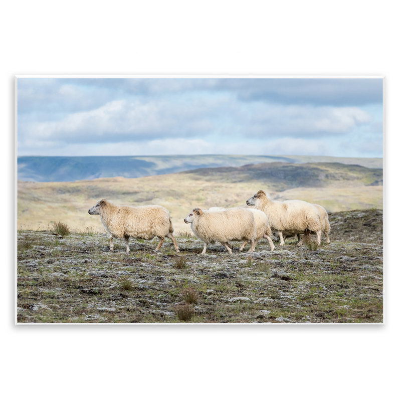 Plaque murale «Three Friends Sheep in Nature» par D. Burt, H 10 po x l 15 po