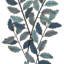 Décoration murale