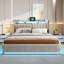 Upholstered Ottoman Storage Bed-1845688271-1845688274