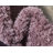 Alta Indoor Rug-791482190