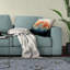 Coussin réversible Beautiful Tree Of Life-99315926-99315922