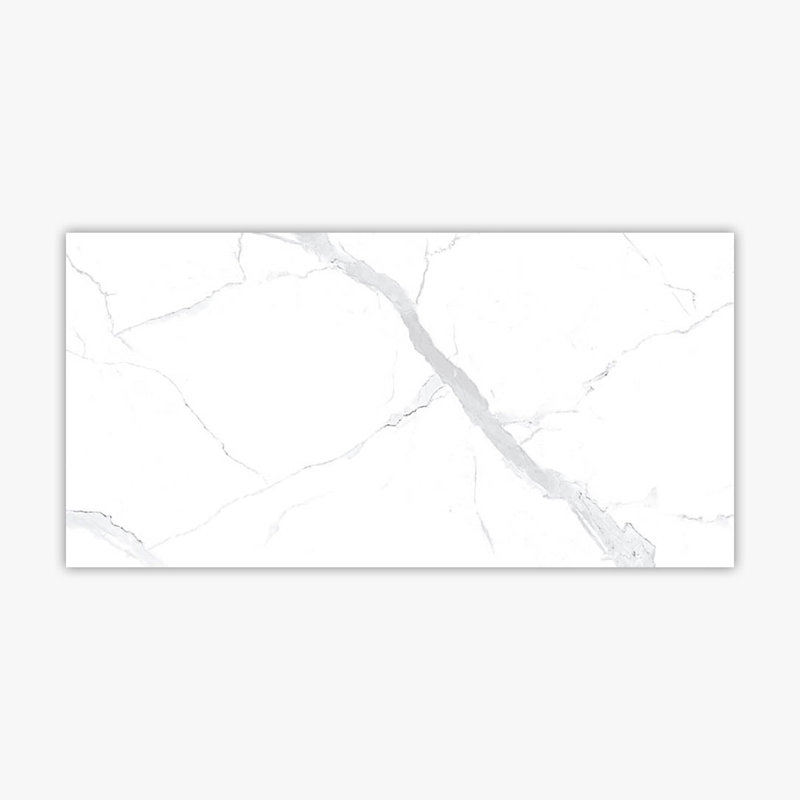 Carreau de marbre et de sol en porcelaine 24 po x 48 po Statuario