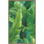 Palmes des tropiques I - peinture-231820960-231820965