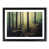Black Framed selected