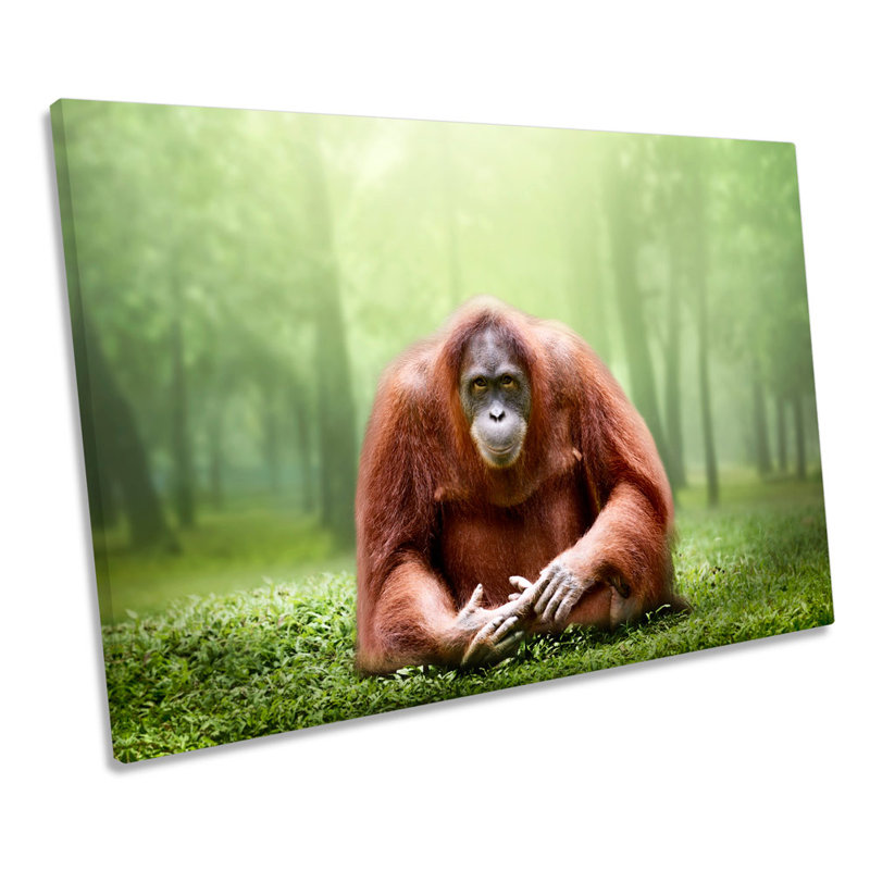 Orangutan Monkey - Wrapped Canvas Print, 81.3cm H x 121.9cm W x 4cm D