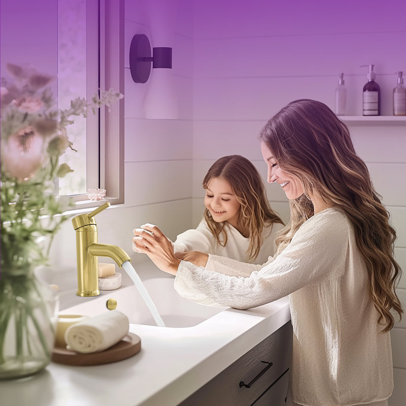 Robinet de lavabo de salle de bain monotrou à 1 arc avec poignée à faible arche commerciale / résidentielle avec drain WaterSense