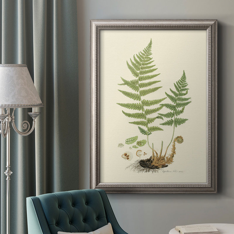 «Curtis Ferns II», cadre photo, impression sur toile, H 36 po x l 24 po