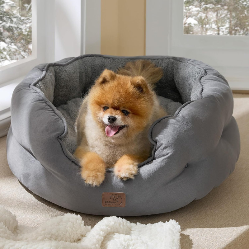 Lit pour chien et chat rond pour petits animaux de compagnie, nid lavable en peluche avec base antidérapante, intérieur