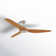 Airfusion Ceiling Fan