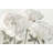 Essence Of June I Neutral Crop by James Wiens - Wrapped Canvas Painting-569850396