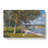 Walnut Tree In A Thomery Field by Alfred Sisley - Wrapped Canvas Painting-61876301