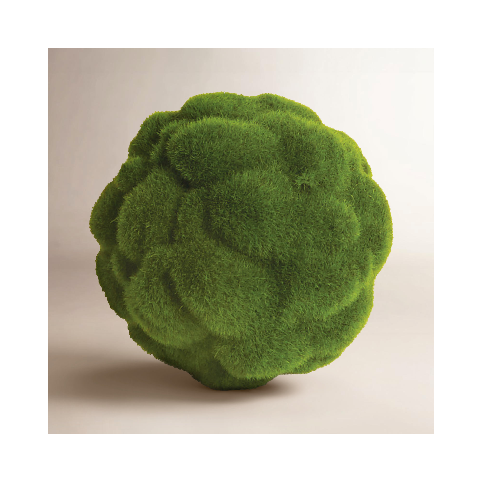 Preserved Mood Moss Orb 5.5 in.