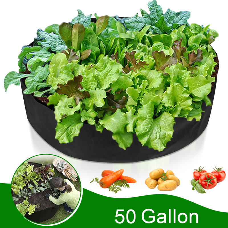 Sacs de culture pour plantes épaisses robustes, H 12 po x l 35 po x P 35 po