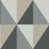Gray/Black