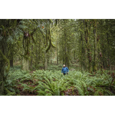 Winter Forest Bathing by Pamelajoemcfarlane