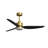 Loritta 3-Blade Ceiling Fan with Light-1597459141-1597384105