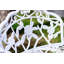  Shatley Metal Rose Garden Bench-1582944613