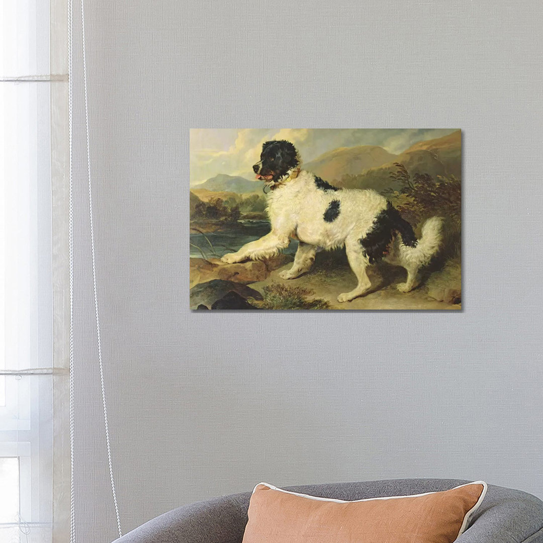 Newfoundland Dog Called Lion, 1824 by Sir Edwin Landseer - Wrapped Canvas Print
