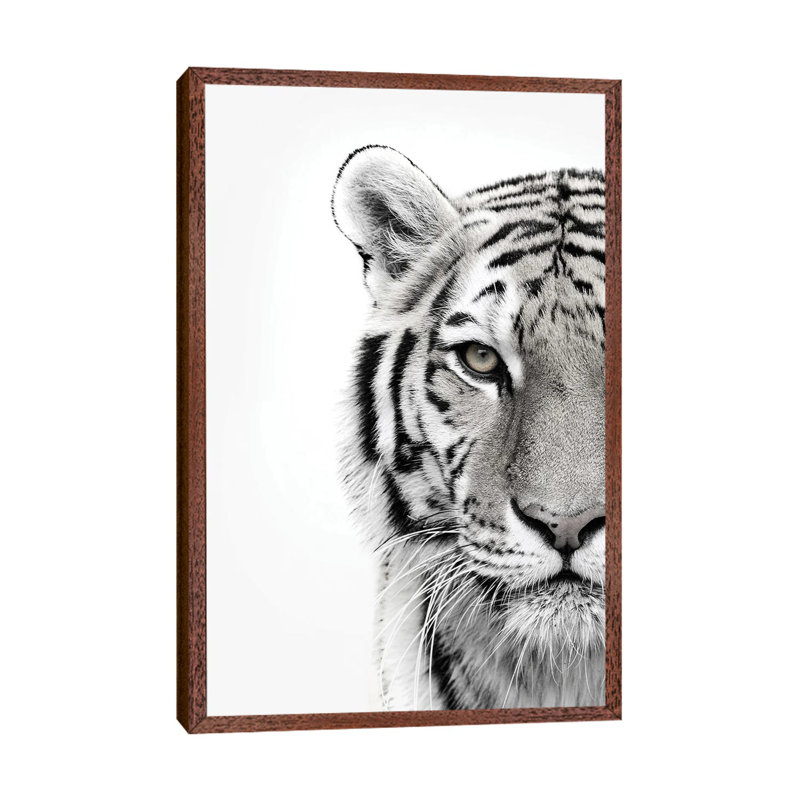 White Tiger - Print on Canvas, 66.04cm H x 45.72cm W x 3.81cm D, Classic Brown Wood Framed