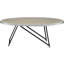 Table basse ovale avec plateau en chêne gris patiné et pieds en métal noir, forme pour un espace de vie élégant