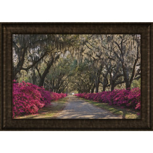 Azaleas bonaventure, reproduction de photo encadrée