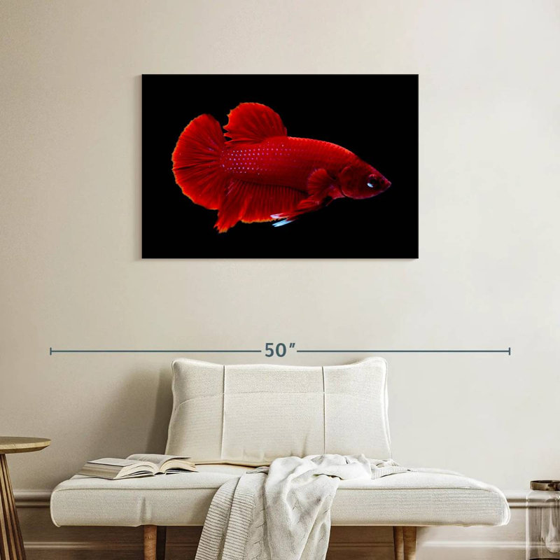 Brampt Vibrant Red Betta, 24'' H x 36'' W