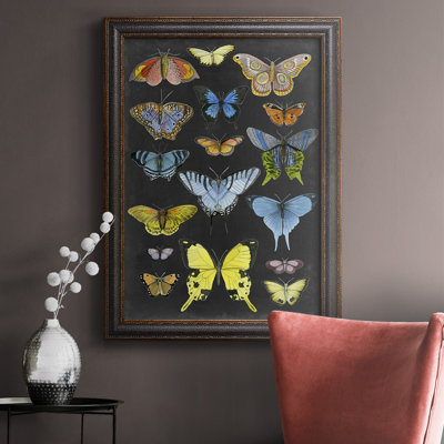 «Graphic Butterfly Taxonomie II», reproduction sur toile encadrée