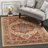 Clarion Performance Oriental Rug-15995154