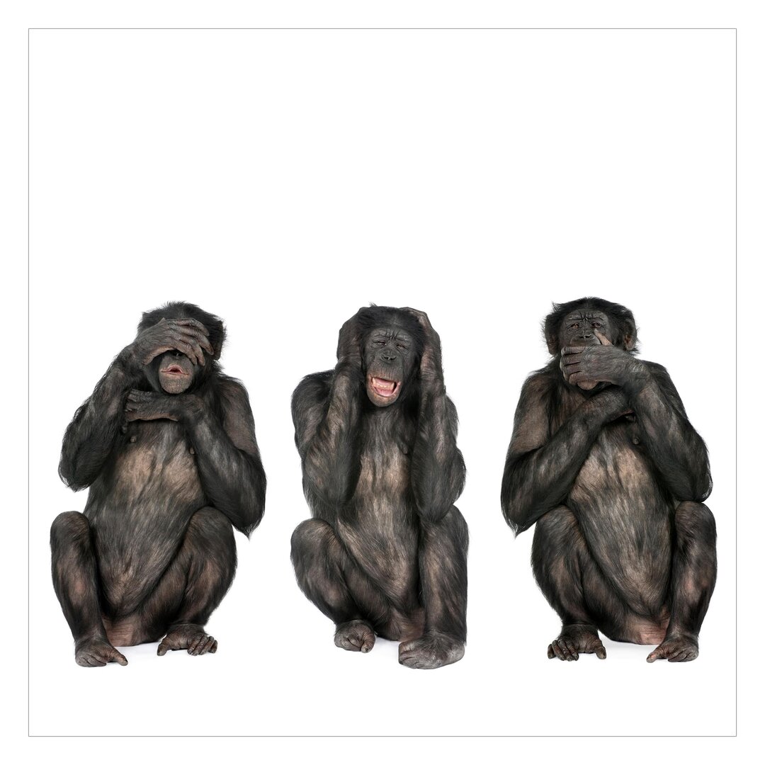 Strukturierte Tapete Three Wise Monkeys 1,92 m x 192 cm