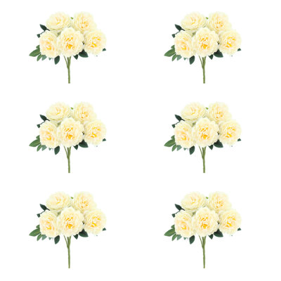 Peony Bunch - Set of 6