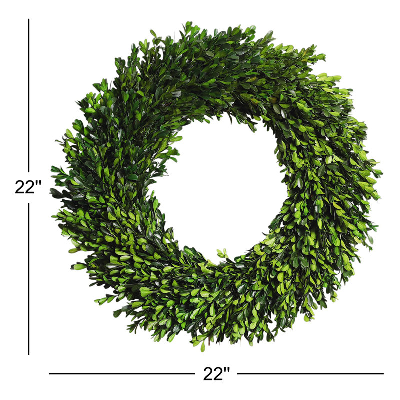 Natural Preserved Green Boxwood Everyday Wreath 22"
