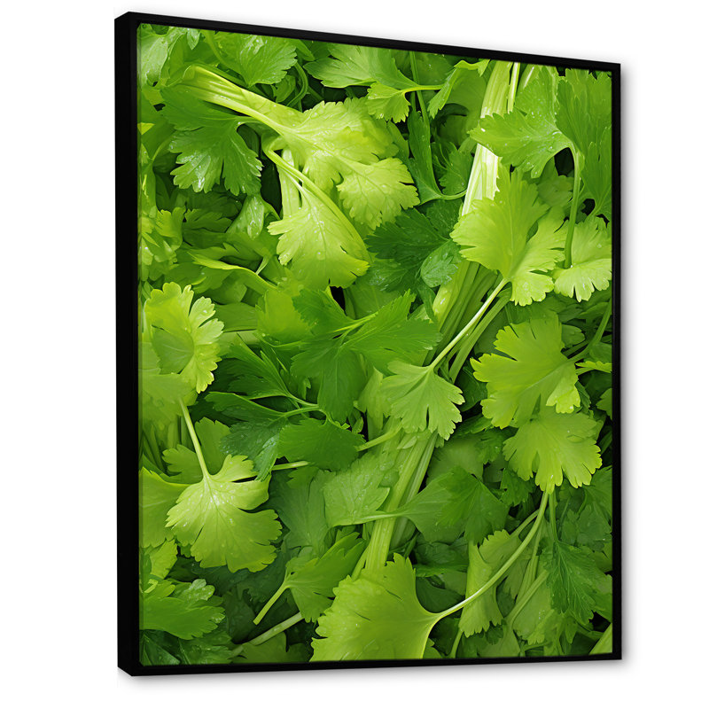 «Herbs Parsley Dance 2 - Floral Herbs», art mural, Cadre flottant noir, H 32 po x l 24 po