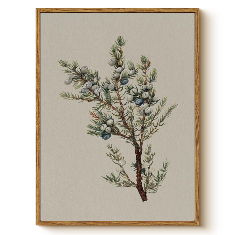 Juniper Berry Botanical Framed Wall Art