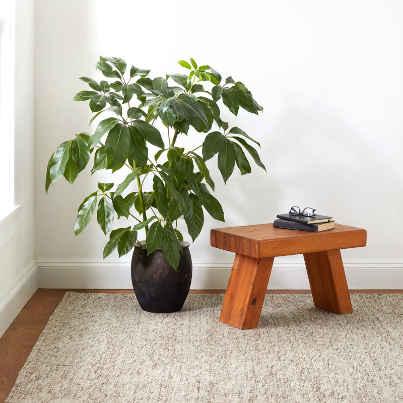 Loggia Natural Handwoven Wool Rug, Runner 2'6" x 8'