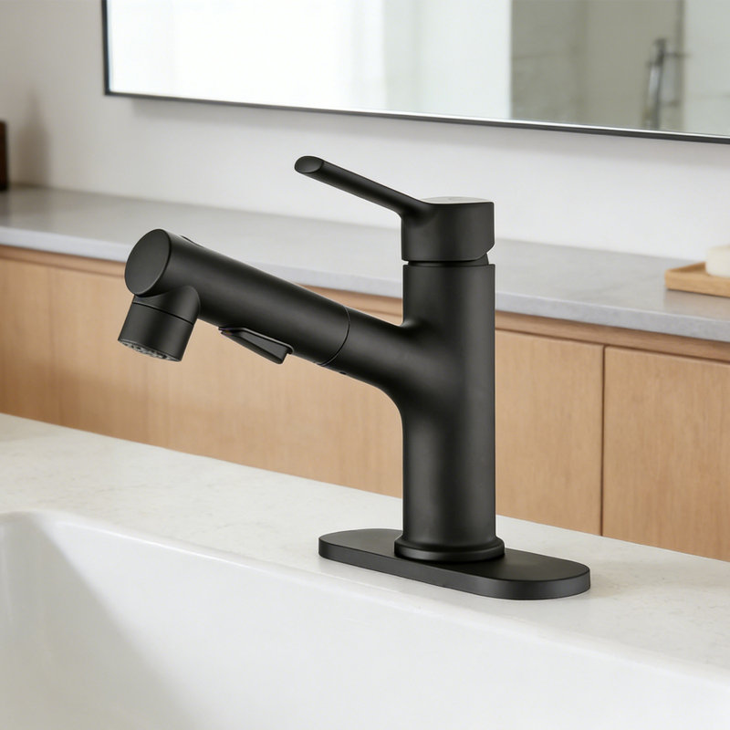 Single Handle Single Hole Bathroom Faucet With With Pull Out Sprayer, Drain Assembly, Matte Black