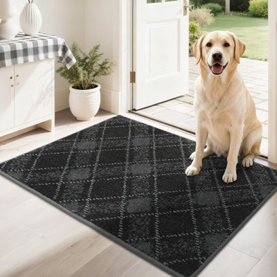 Non-Slip Absorbent Door Mat with TPR Backing – Soft, Washable, Low-Profile Doormat for Indoor Entrance, Perfect for Pets & Family