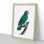 Emerald Cuban Amazon Parrot by F. Levaillant - Picture Frame Painting Print-55539486-55539489
