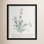Jeanette "Thymus Vulgaris" Print