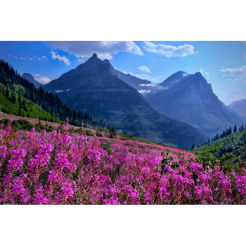 Fleurs sauvages - Photographie sur toile tendue, H 8 po x l 12 po