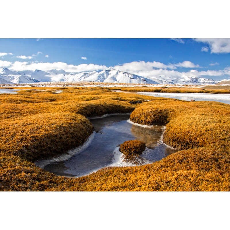 Amazing Winter Landscape - Wrapped Canvas Print, 20cm H x 30cm W x 3.8cm D