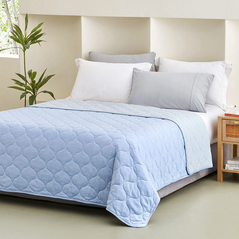 Couverture douillette réversible Cozy Bliss, jeté léger et respirant pour lit, canapé et lit pour chien, L 80 po x l 60 po