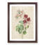 Cranesbill Flowers by Pierre-Joseph Redoute - Framed Print-55490387-55490384